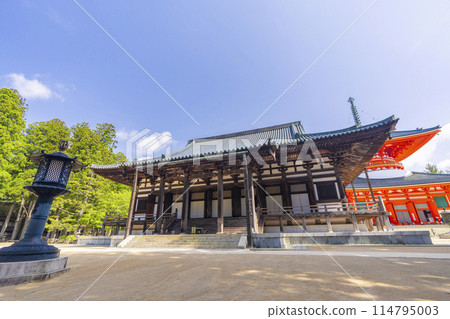 初夏的高野山 團上伽藍近藤 114795003