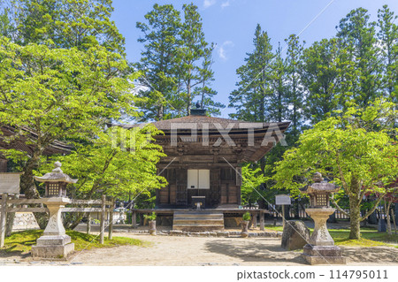 Early summer at Mount Koya: Danjo Garan, Zammaido 114795011