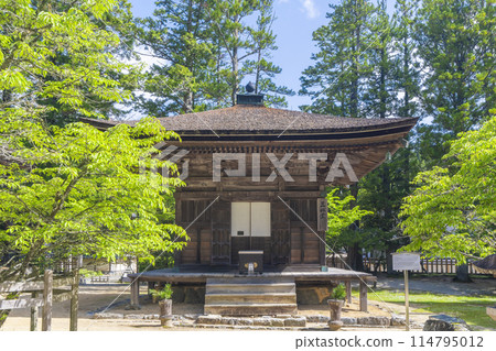 Early summer at Mount Koya: Danjo Garan, Zammaido 114795012