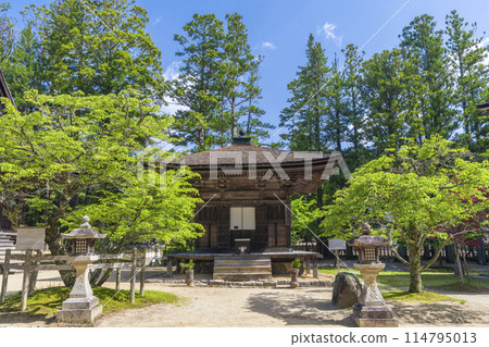 Early summer at Mount Koya: Danjo Garan, Zammaido 114795013