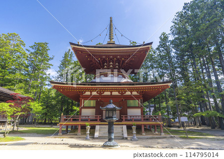 Early summer at Mount Koya: Danjo Garan, East Pagoda 114795014