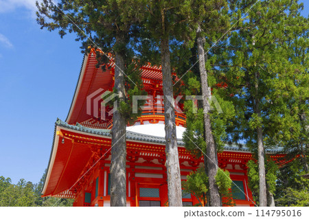 初夏的高野山、團上伽藍、根本大東 114795016