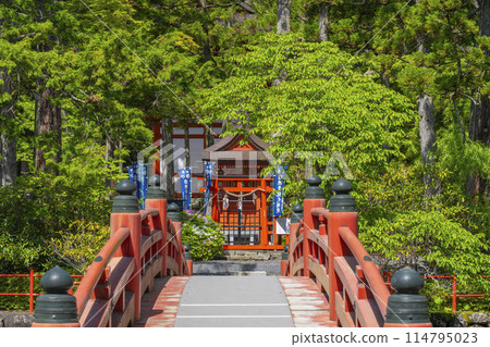 Early summer at Mount Koya: Danjo Garan, Zennyoryuosha Shrine 114795023