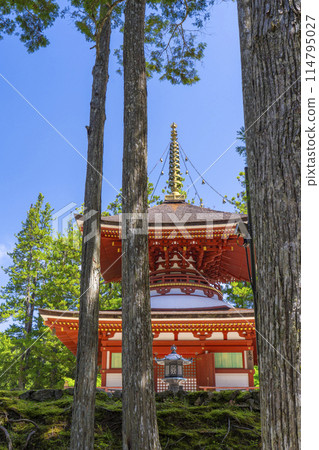 初夏的高野山、團上伽藍、根本大東 初夏的高野山、團上伽藍、根本大東 114795027