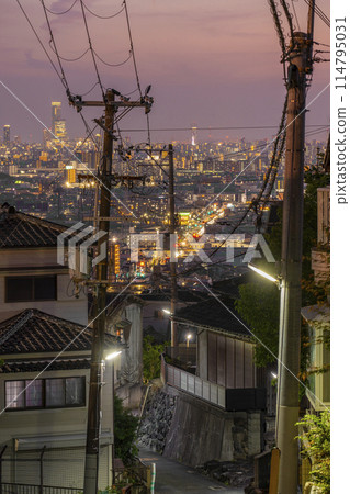 Evening view of Osaka city from Higashiosaka 114795031