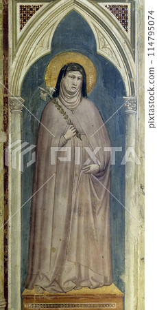 Saint Clare of Assisi holding a lily, fresco by Giotto di Bondone in Basilica di Santa Croce (Basilica of the Holy Cross) - famous Franciscan church in Florence, Italy Saint Clare of Assisi holding a lily, fresco by Giotto di Bondone in Basilica di Santa Croce (Basilica of the Holy Cross) - famous Franciscan church in Florence, Italy 114795074