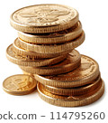 Isolated of stacked gold coins in neat piles 114795260