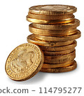 Isolated of stacked gold coins in neat piles 114795277