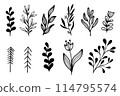 Modern black Doodle botanical flowers. Flowers and leaves in doodle hand drawing style. Bouquet. Hand drawn wedding branch herb, minimalist flowers with elegant leaves 114795574