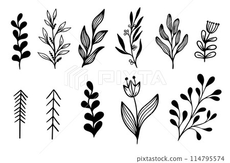 Modern black Doodle botanical flowers. Flowers and leaves in doodle hand drawing style. Bouquet. Hand drawn wedding branch herb, minimalist flowers with elegant leaves 114795574