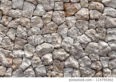Ryukyu Limestone Wall Ryukyu Limestone Wall 114795892
