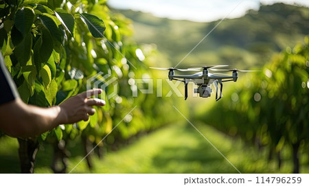 Drone flying above a lush orchard, controlled by a man, modern farming technology 114796259