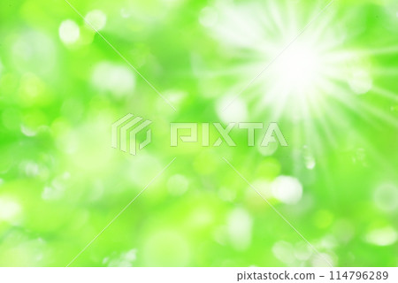 新鮮的綠色陽光 114796289