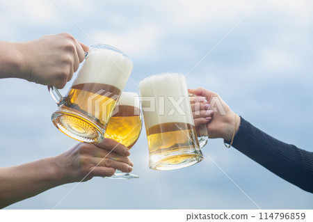 Group of friends clinking beer glasses. Group of friends clinking beer glasses. 114796859