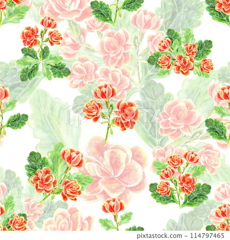 Kalanchoe pattern of flowers and leaves of succulents bouquet. Watercolor hand painted illustration isolated on white background. Used in packaging, on fabric, textiles and wrapping paper 114797465