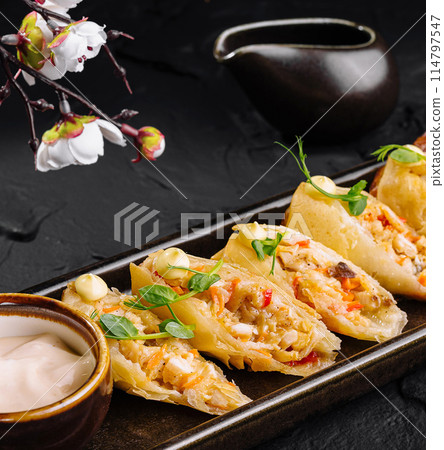 Gourmet dumplings with dipping sauce on elegant tableware Gourmet dumplings with dipping sauce on elegant tableware 114797547