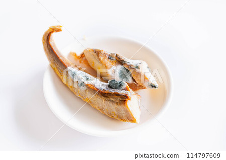 發霉的烤魚 發霉的烤魚 114797609