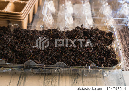 用蛋盒做苗 114797644