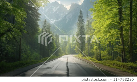 Road in forest in day in spring. Beautiful mountain curved roadway, trees with green foliage in fog and overcast sky 114798250