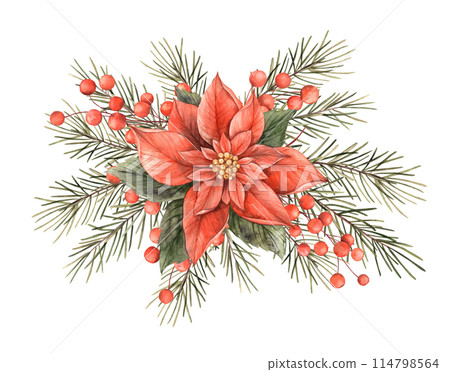 Poinsettia with fir branches and Christmas red berries. Watercolor Christmas composition in vintage style. Bouquet for Christmas and New Year holidays, invitations, cards, decorations, packaging Poinsettia with fir branches and Christmas red berries. Watercolor Christmas composition in vintage style. Bouquet for Christmas and New Year holidays, invitations, cards, decorations, packaging 114798564