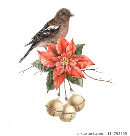 Realistic bird, red poinsettia with green leaves and red Christmas berries. Watercolor Christmas composition in vintage style. Composition for Christmas and New Year holidays, invitations, cards. 114798569