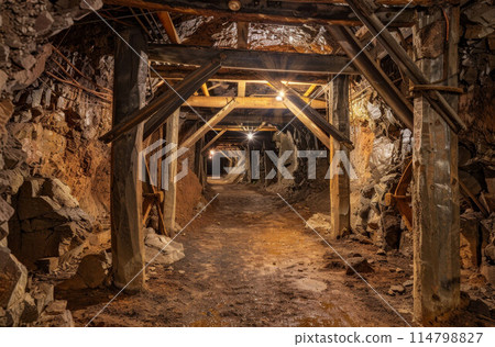 Tunnel in a historic coal mine Tunnel in a historic coal mine 114798827