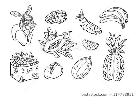 Monochrome outline doodles of tropical fruits in hand drawn style. Vector contour sketchy drawings of sweet fruits on white background. Ideal for coloring pages, tattoo, pattern 114798931