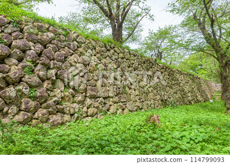 [Historic Site] Murakami Castle Ruins (Murakami City, Niigata Prefecture) One of Japan's Top 100 Castles 114799093