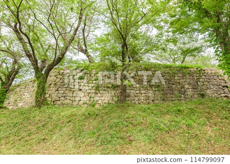 【古蹟】村上城蹟（新潟縣村上市），日本名城百選 114799097