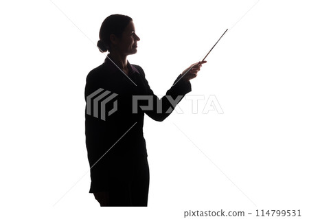 Young woman in suit shows pointer forward, side view - silhouette Young woman in suit shows pointer forward, side view - silhouette 114799531