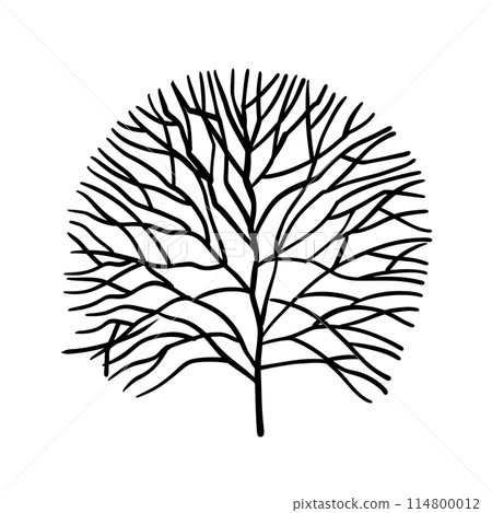 Tree with branches shaped like circle, black silhouette 114800012