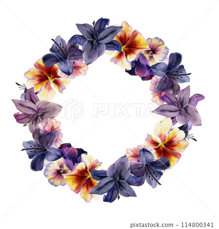 Hand drawn watercolor illustration shabby boho botanical flowers. Dark lily clivia amaryllis, pansy viola violet. Wreath frame isolated on white background. Design wedding suite, love cards, shop 114800341