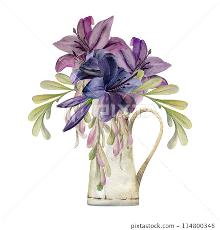 Hand drawn watercolor illustration botanical flowers leaves. Lily clivia amaryllis, locust indigo branch, ash maple keys, willow eucalyptus. Bouquet in milk jug isolated white. Design wedding, cards 114800348