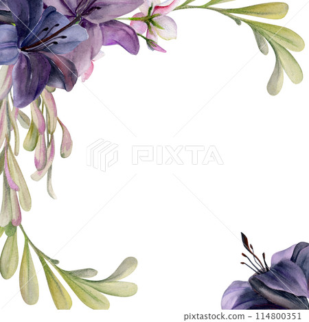 Hand drawn watercolor illustration botanical flowers leaves. Lily clivia amaryllis, locust, ash maple keys, pink lobelia jasmine, willow eucalyptus. Frame isolated on white. Design wedding, cards 114800351