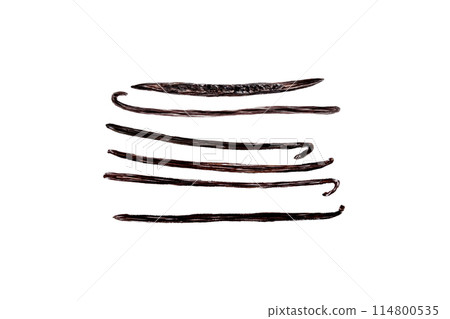 Vanilla bean illustration set in watercolor isolated on white background. High quality hand drawn art for food design. Spice box, restaurant and cafe menu, natural organic food ads, label, recipes Vanilla bean illustration set in watercolor isolated on white background. High quality hand drawn art for food design. Spice box, restaurant and cafe menu, natural organic food ads, label, recipes 114800535