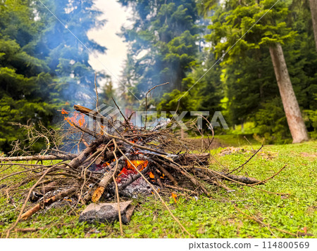 Burning bonfire made of branches and sticks with rising smoke in forest clearing surrounded by pine trees. Natural outdoor scene for camping and adventure. Hiking trip or overnight stays in forest. Burning bonfire made of branches and sticks with rising smoke in forest clearing surrounded by pine trees. Natural outdoor scene for camping and adventure. Hiking trip or overnight stays in forest. 114800569