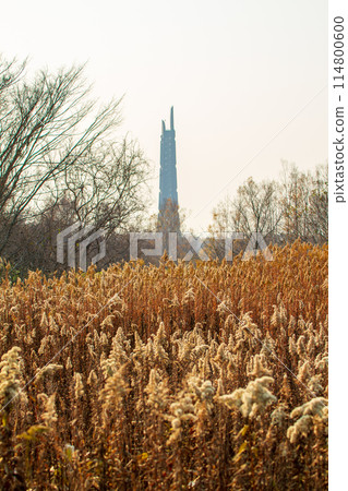 北海道百年紀念塔 北海道百年紀念塔 114800600