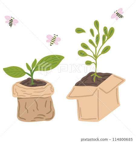 Plant in a box and in paper bag flat design with bees flying around Plant in a box and in paper bag flat design with bees flying around 114800685