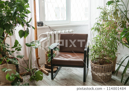 A fragment of the interior with a variety of indoor plants and plaster sculptures. Urban jungle concept. Biophilia design. 114801484