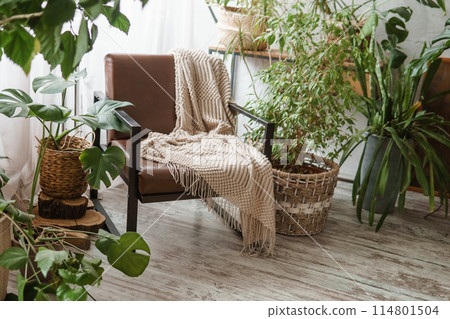 A fragment of the interior with a variety of indoor plants and plaster sculptures. Urban jungle concept. Biophilia design. A fragment of the interior with a variety of indoor plants and plaster sculptures. Urban jungle concept. Biophilia design. 114801504