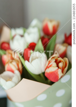 Celebration of Beauty: Tulips in Close-up as a Gift for March 8th Celebration of Beauty: Tulips in Close-up as a Gift for March 8th 114801655
