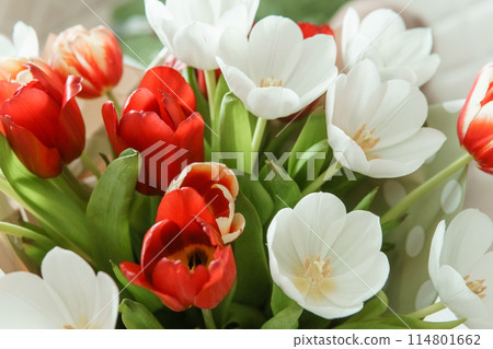 Spring Inspiration: Tulip Bouquet in Honor of International Women's Day Spring Inspiration: Tulip Bouquet in Honor of International Women's Day 114801662