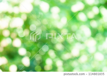 背景素材：陽光透過綠葉，圓形散景，球形散景，散景表情 114801835
