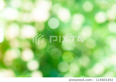 背景素材：陽光透過綠葉，圓形散景，球形散景，散景表情 114801842