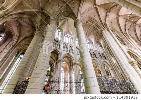 Saint Etienne cathedral, Meaux, France Saint Etienne cathedral, Meaux, France 114801912