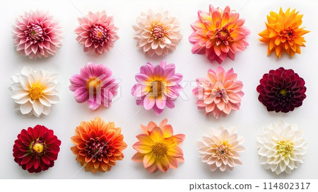 Vibrant Collection of Flowers Laid Out Neatly, Perfect for Spring Themes. High-Quality Image Designed for Versatile Use in Mind. Nature's Beauty Showcased. AI 114802317