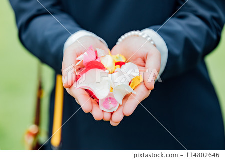 婚禮花灑 114802646