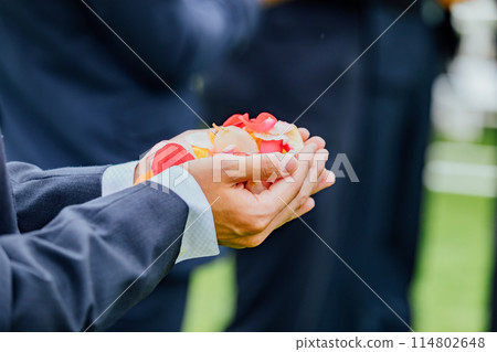 Wedding Flower Shower Wedding Flower Shower 114802648