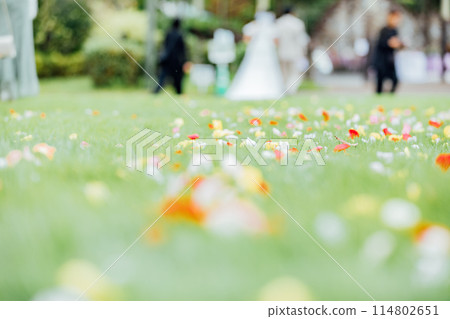 Wedding Flower Shower 114802651