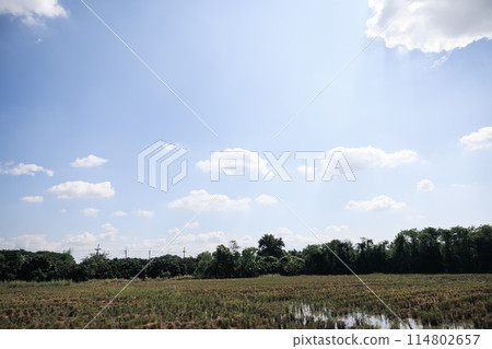 Blue sky and cloud for background. Blue sky and cloud for background. 114802657